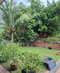 Jalan Sotong (D15), Semi-Detached #556354661